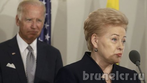 Грибаускайте, Байден